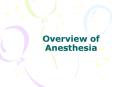 Overview of Anesthesia PowerPoint PPT Presentation