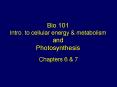 Bio 101 Intro' to cellular energy PowerPoint PPT Presentation