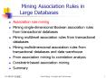 Mining Association Rules in Large Databases PowerPoint PPT Presentation