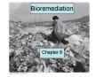 Bioremediation PowerPoint PPT Presentation