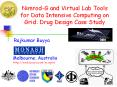 Nimrod-G and Virtual Lab Tools for Data Intensive Computing on Grid: Drug Design Case Study PowerPoint PPT Presentation