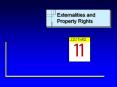 Externalities and Property Rights PowerPoint PPT Presentation