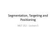 Segmentation, Targeting and Positioning PowerPoint PPT Presentation