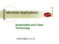 Microbial Applications: PowerPoint PPT Presentation
