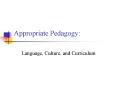 Appropriate Pedagogy: PowerPoint PPT Presentation