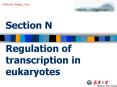 Section N Regulation of transcription in eukaryotes PowerPoint PPT Presentation