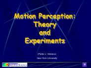 Motion Perception: Theory and Experiments