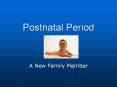 Postnatal%20Period PowerPoint PPT Presentation