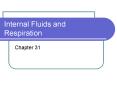 Internal Fluids and Respiration PowerPoint PPT Presentation