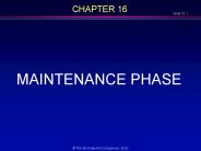 The Software Process