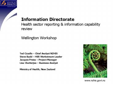 Information Directorate Health sector reporting