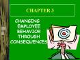 CHANGING EMPLOYEE BEHAVIOR THROUGH CONSEQUENCES PowerPoint PPT Presentation