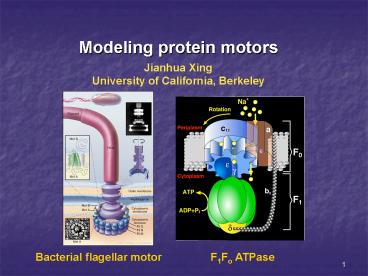 Modeling protein motors