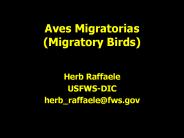 Aves%20Migratorias%20(Migratory%20Birds)