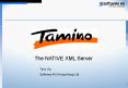 Tamino - SAGA Sales Presentations PowerPoint PPT Presentation