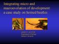 Integrating micro and macroevolution of development: PowerPoint PPT Presentation