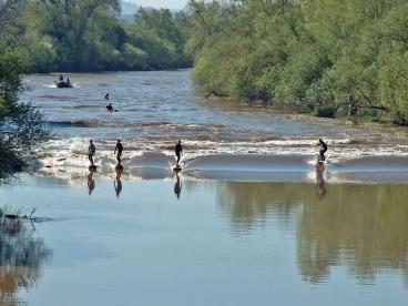 Sea levels: the global scene