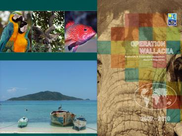 presentation player overlay