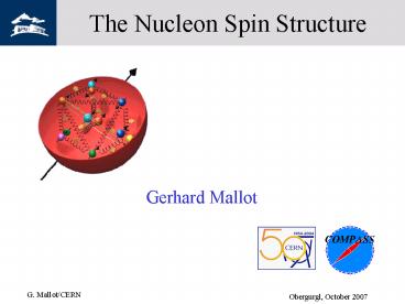 The Nucleon Spin Structure