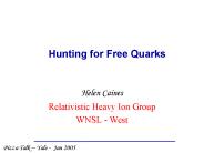Hunting for Free Quarks