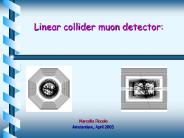 Linear collider muon detector: