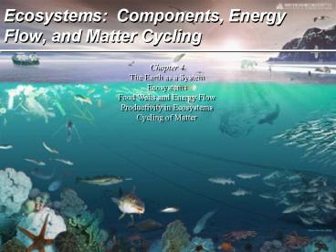 Ecosystems: Components, Energy Flow, and Matter Cycling