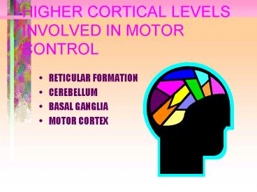 HIGHER CORTICAL LEVELS INVOLVED IN MOTOR CONTROL
