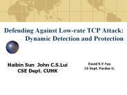 Defending%20Against%20Low-rate%20TCP%20Attack:%20Dynamic%20Detection%20and%20Protection