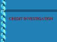CREDIT INVESTIGATION PowerPoint PPT Presentation