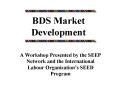 BDS Market Development PowerPoint PPT Presentation