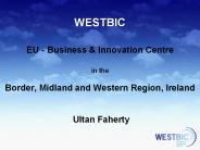 WESTBIC%20EU%20-%20Business%20