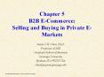Chapter%205%20B2B%20E-Commerce:%20Selling%20and%20Buying%20in%20Private%20E-Markets PowerPoint PPT Presentation