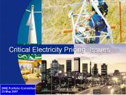Critical Electricity Pricing Issues