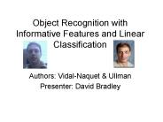 Object Recognition with Informative Features and Linear Classification