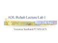ADLRehab LectureLab I PowerPoint PPT Presentation