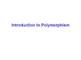 Introduction to Polymorphism PowerPoint PPT Presentation