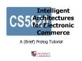 Intelligent Architectures for Electronic Commerce PowerPoint PPT Presentation
