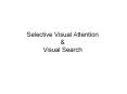 Selective Visual Attention PowerPoint PPT Presentation