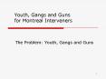 Youth, Gangs and Guns for Montreal Interveners PowerPoint PPT Presentation
