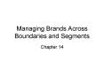 Managing Brands Across Boundaries and Segments PowerPoint PPT Presentation