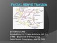 FACIAL NERVE TRAUMA PowerPoint PPT Presentation