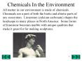Chemicals In the Environment PowerPoint PPT Presentation