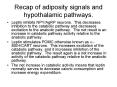 Recap of adiposity signals and hypothalamic pathways. PowerPoint PPT Presentation