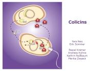 Colicins