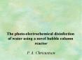 The photo-electrochemical disinfection PowerPoint PPT Presentation