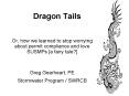 Dragon Tails PowerPoint PPT Presentation