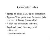 Computer Files