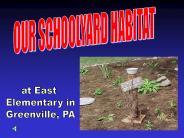 OUR SCHOOLYARD HABITAT