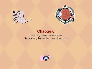 Chapter 6 Early Cognitive Foundations: Sensation, Perception, and Learning