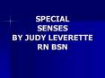 SPECIAL SENSES BY JUDY LEVERETTE RN BSN PowerPoint PPT Presentation